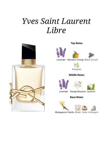 y yves saint laurent note|ysl y cologne notes.